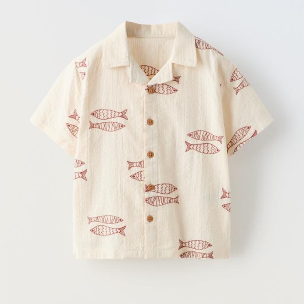 Zara embroidered shirt
